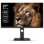 Dahua LM27-P301A QHD 2K 27-Inch Monitor Nairobi Kenya.
